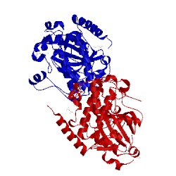 Image of CATH 1j3h