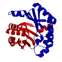 Image of CATH 1j3m