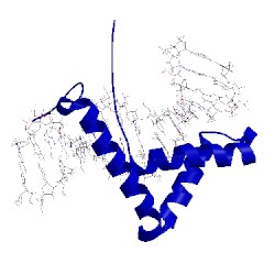 Image of CATH 1j46