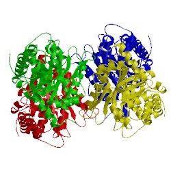 Image of CATH 1j4e