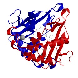 Image of CATH 1j6w