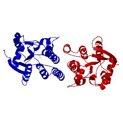 Image of CATH 1j90