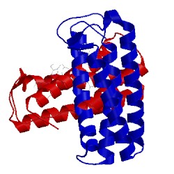 Image of CATH 1jaf