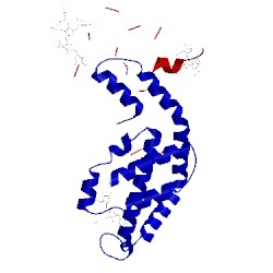 Image of CATH 1jbo