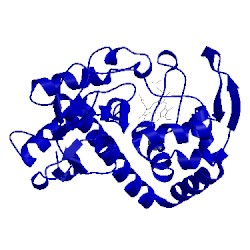 Image of CATH 1jci