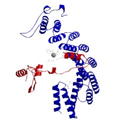 Image of CATH 1jcq