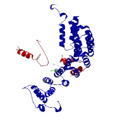 Image of CATH 1jcr