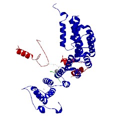 Image of CATH 1jcs