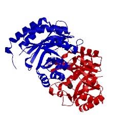 Image of CATH 1jcy