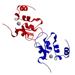 Image of CATH 1jd4