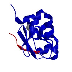 Image of CATH 1jd6