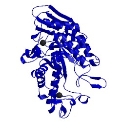 Image of CATH 1jda