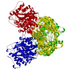 Image of CATH 1jdf