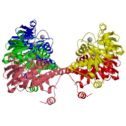 Image of CATH 1jdi