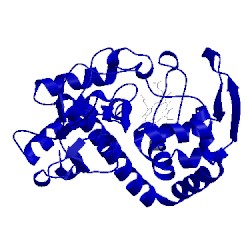 Image of CATH 1jdr