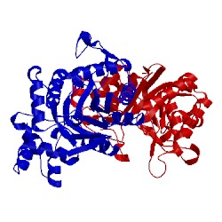 Image of CATH 1jez