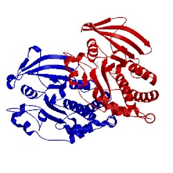 Image of CATH 1jf7