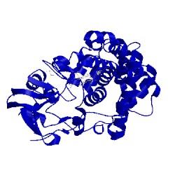 Image of CATH 1jfb