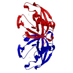 Image of CATH 1jfd