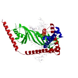 Image of CATH 1jfi