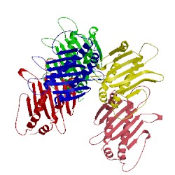 Image of CATH 1jfm