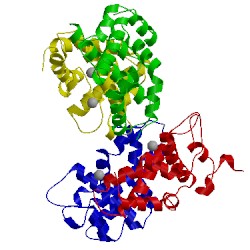 Image of CATH 1jfz