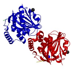 Image of CATH 1jg3