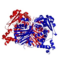 Image of CATH 1jgt