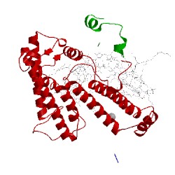 Image of CATH 1jgy