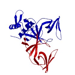 Image of CATH 1jhf
