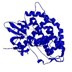 Image of CATH 1jin