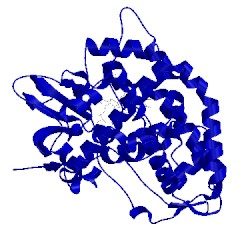 Image of CATH 1jio