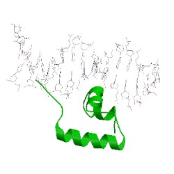 Image of CATH 1jj6