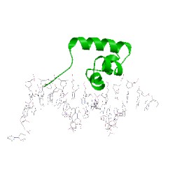 Image of CATH 1jj8