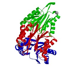 Image of CATH 1jjw