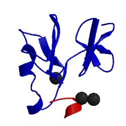 Image of CATH 1jk4