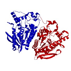 Image of CATH 1jkm