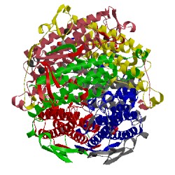 Image of CATH 1jkv