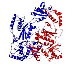 Image of CATH 1jlc