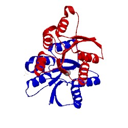 Image of CATH 1jlk