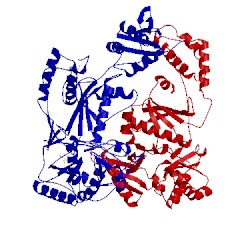 Image of CATH 1jlq