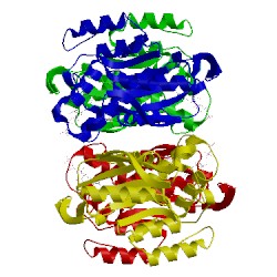 Image of CATH 1jlr