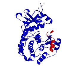 Image of CATH 1jlu