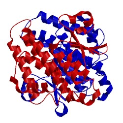 Image of CATH 1jlw