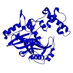 Image of CATH 1jmg