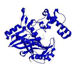 Image of CATH 1jmh