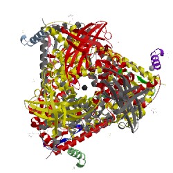 Image of CATH 1jmu