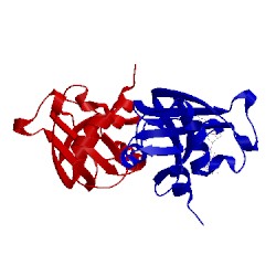 Image of CATH 1jn4