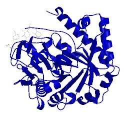 Image of CATH 1jnd