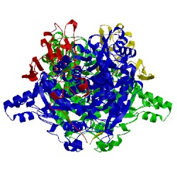 Image of CATH 1jnz